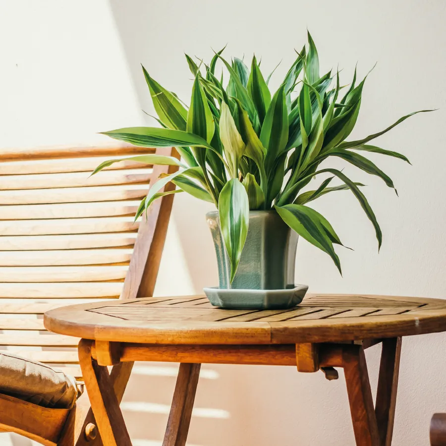 layret-i-pujol-castellar-del-valles-caracteristiques-1