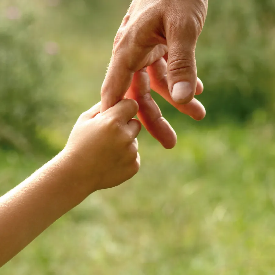layret-i-pujol-castellar-del-valles-caracteristiques-4