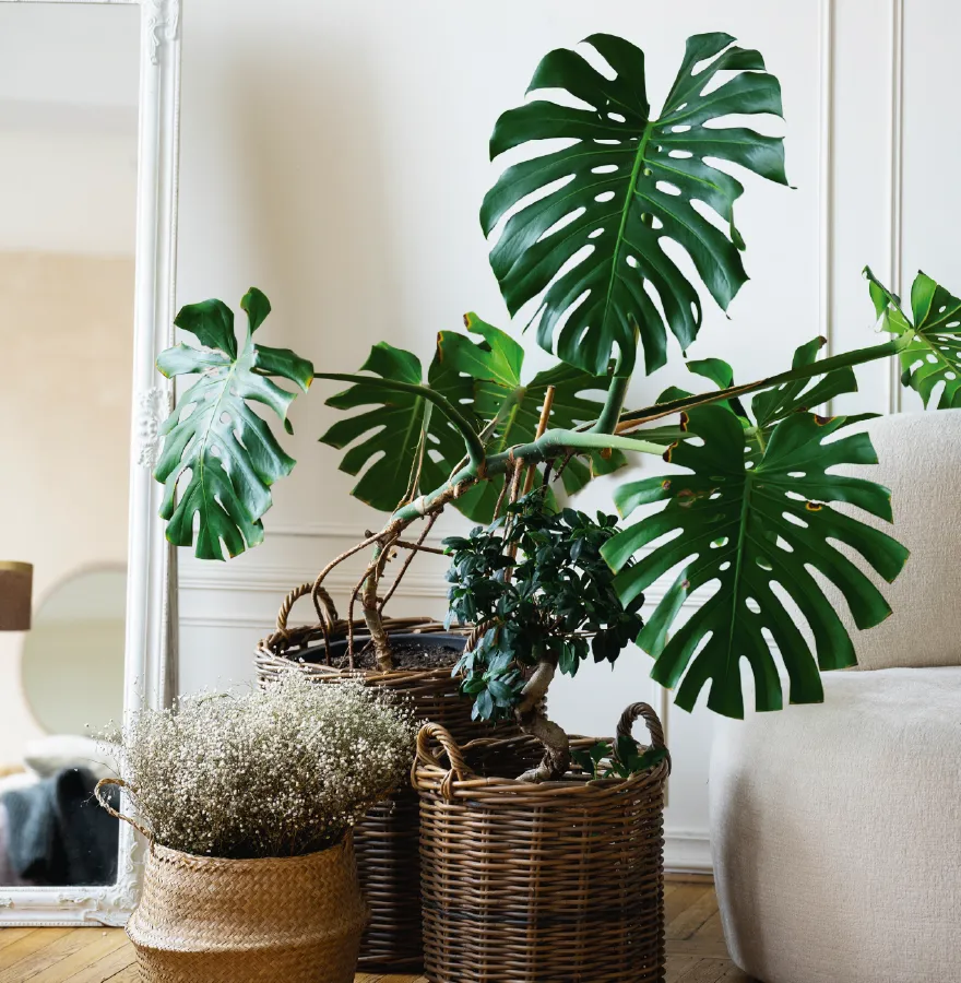 obra-nova-castellar-del-valles-1-dormitori